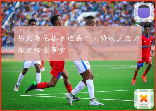 热刺与范赫克达成个人协议正全力推进转会事宜