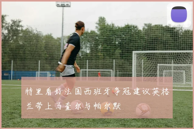 特里看好法国西班牙争冠建议英格兰带上马奎尔与帕尔默