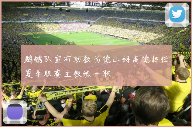 鹈鹕队宣布助教戈德山姆高德担任夏季联赛主教练一职